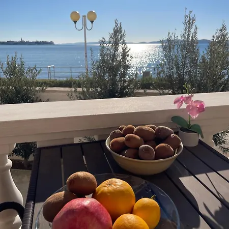 Punta -