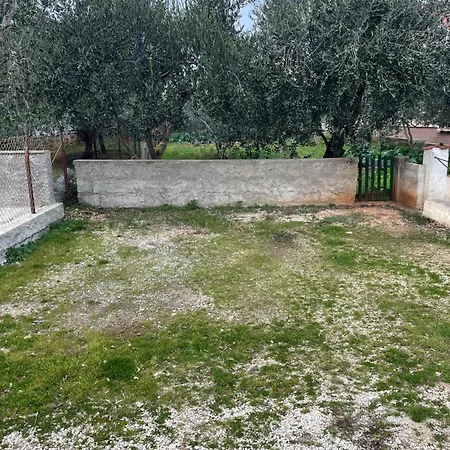 Appartamento Punta -